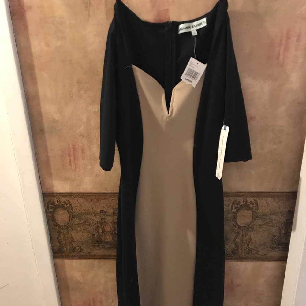 Stretch Tan & Black v neck dress